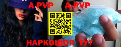 СК Новозыбков