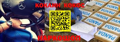 СК Новозыбков