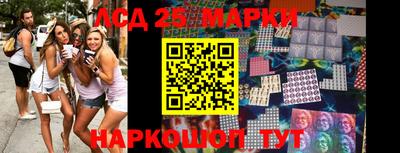 СК Новозыбков