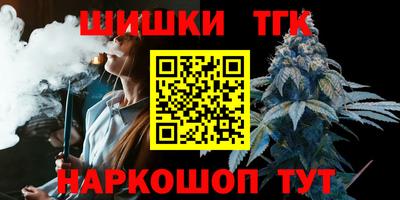 СК Новозыбков