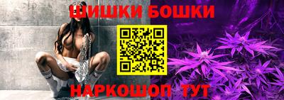 МДПВ Новодвинск