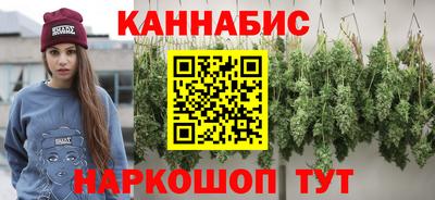 МДПВ Новодвинск