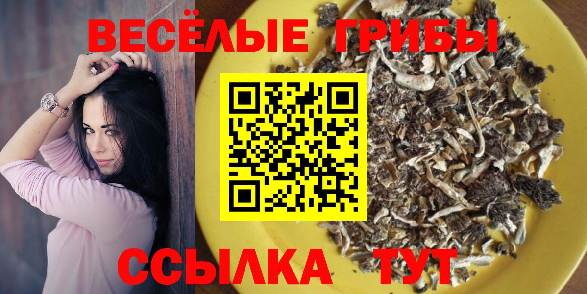 Галлюциногенные грибы Psilocybine cubensis  Галлюциногенные грибы мицелий  Вход с VPN  Тара 